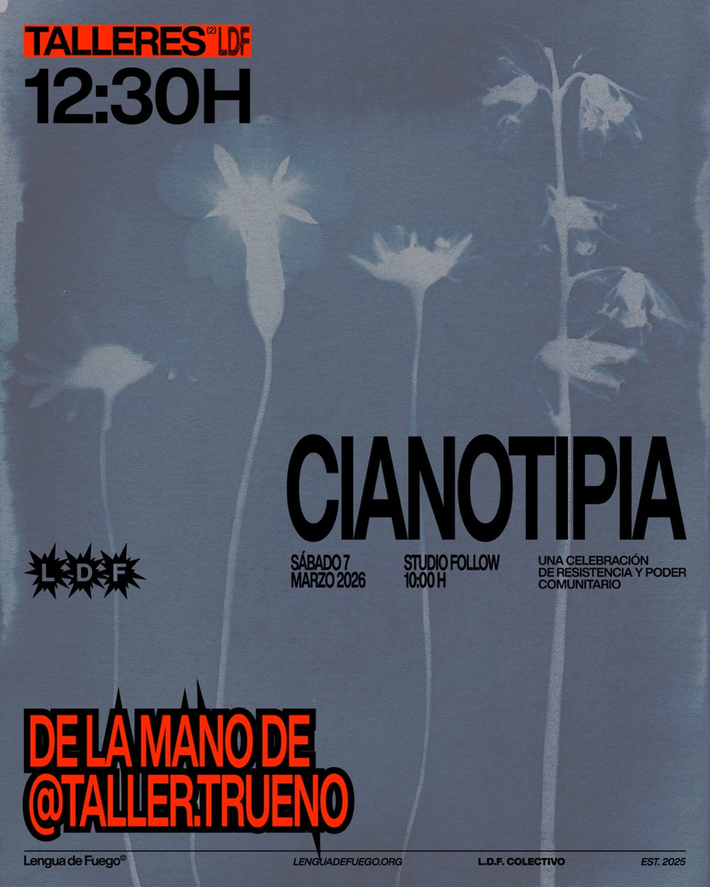 Taller de cianotipia