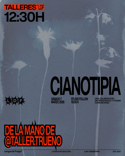 Taller de cianotipia