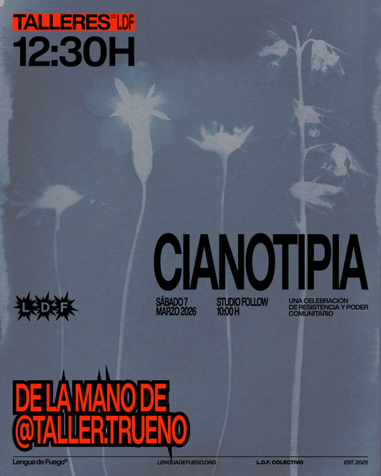 Taller de cianotipia